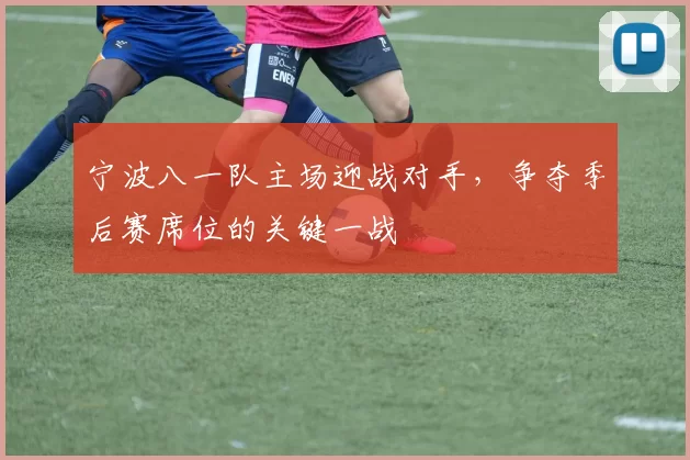宁波八一队主场迎战对手，争夺季后赛席位的关键一战