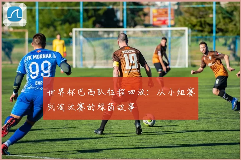 世界杯巴西队征程回放：从小组赛到淘汰赛的绿茵故事