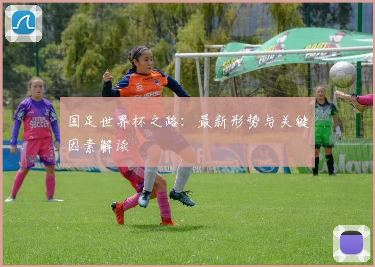 国足世界杯之路：最新形势与关键因素解读