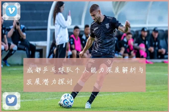 成都乒乓球队个人能力深度解析与发展潜力探讨
