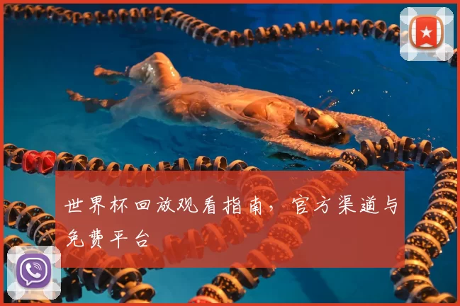 世界杯回放观看指南，官方渠道与免费平台