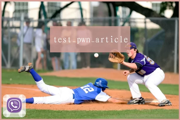 test_pwn_article