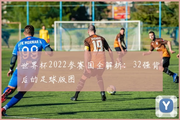 世界杯2022参赛国全解析：32强背后的足球版图