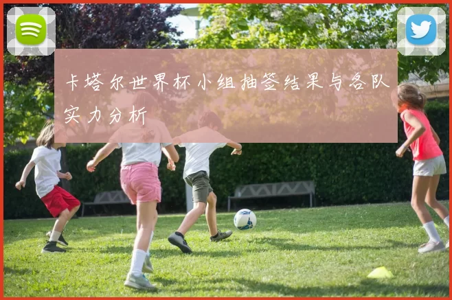 卡塔尔世界杯小组抽签结果与各队实力分析