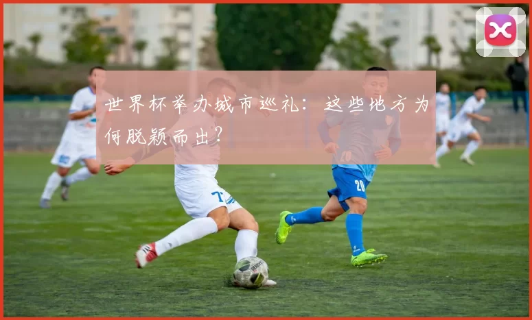 世界杯举办城市巡礼：这些地方为何脱颖而出？