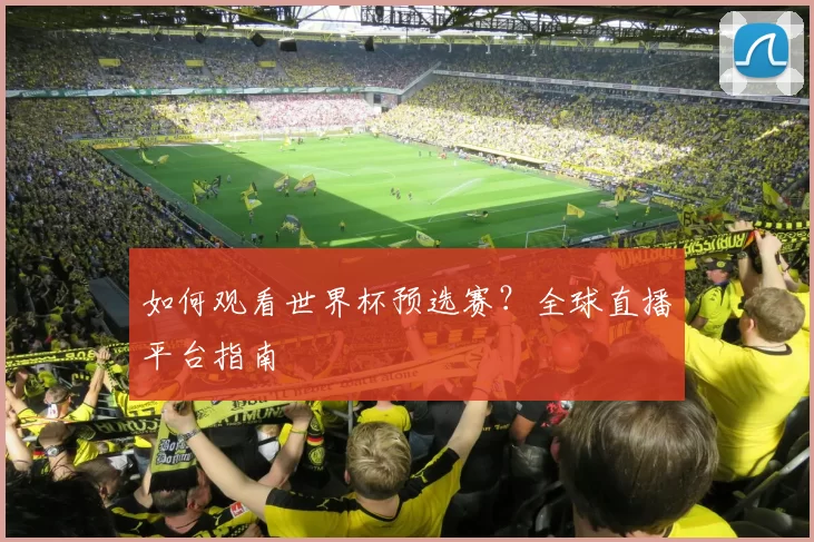 如何观看世界杯预选赛？全球直播平台指南