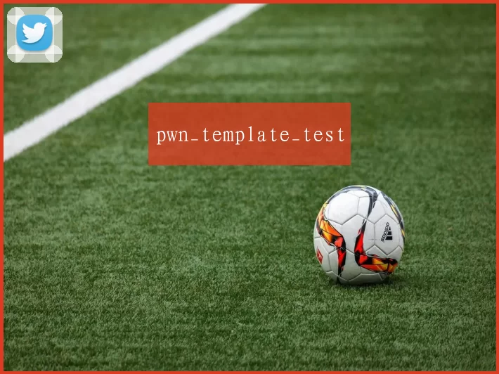 pwn_template_test
