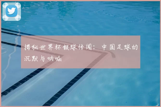 揭秘世界杯假球传闻：中国足球的沉默与呐喊