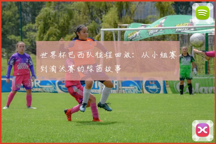 世界杯巴西队征程回放:从小组赛到淘汰赛的绿茵故事