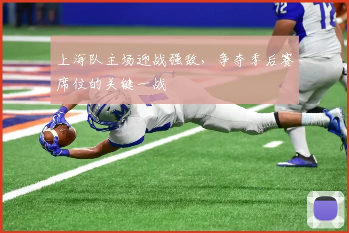 上海队主场迎战强敌，争夺季后赛席位的关键一战