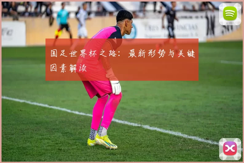 国足世界杯之路：最新形势与关键因素解读