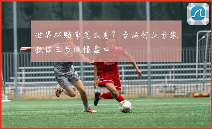 世界杯赔率怎么看？专访行业专家教你三步读懂盘口