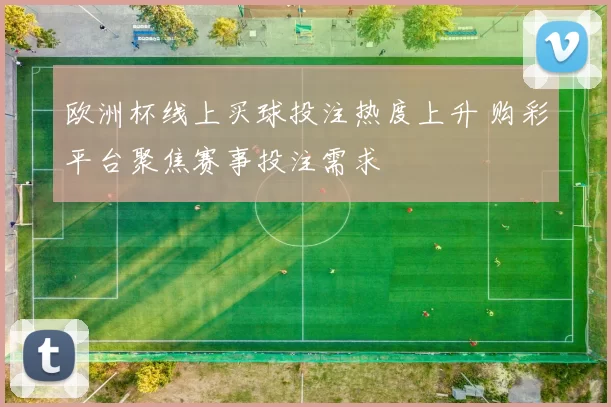 欧洲杯线上买球投注热度上升 购彩平台聚焦赛事投注需求